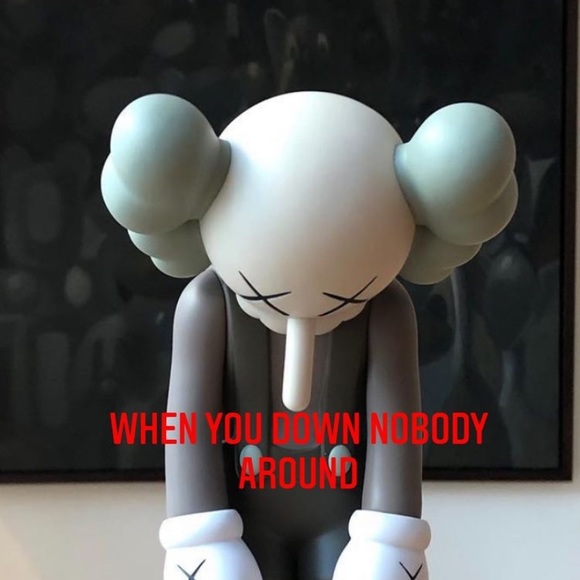 Meet your Posher, Xavier - Picture 1 of 1